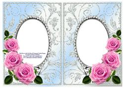 Pink Roses on Sky Blue with Diamonds Double Frames