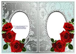 Red Roses on Aqua with Diamonds Double Frames