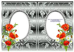 Poppies and Daisies on Silver with Diamonds Double Frames