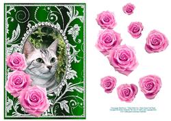 Pink Roses - Tabby Kitty Cat - Silver Green Card Front