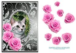 Pink Roses - Tabby Kitty Cat - Silver Gunmetal Card Front