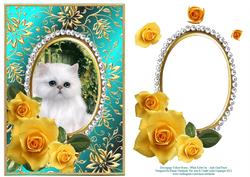 Yellow Roses - White Kitty Cat - Jade Card Front