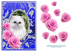 Pink Roses - White Kitty Cat - Silver Blue Card Front