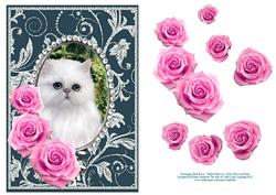 Pink Roses - White Kitty Cat - Silver Teal Card Front