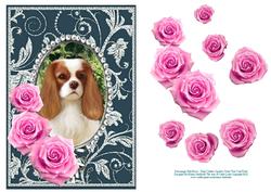 Pink Roses - King Charles Spaniel- Silver Teal Card Front