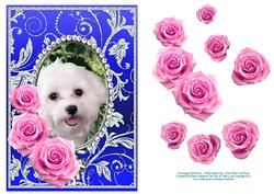 Pink Roses - White Puppy Dog - Silver Blue Card Front