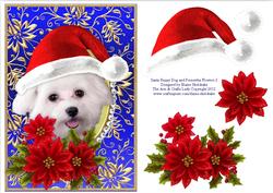Santa White Puppy Dog Bichon Frise and Poinsettia Flowers 2
