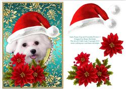 Santa White Puppy Dog Bichon Frise and Poinsettia Flowers 3
