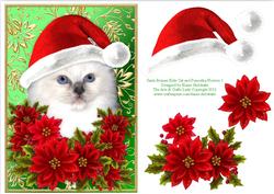 Santa Birman Kitty Cat and Decoupage Poinsettia Flowers 1