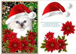 Santa Birman Kitty Cat and Decoupage Poinsettia Flowers 3