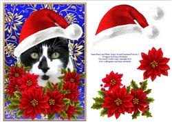 Santa Black and White Kitty Cat and Poinsettia Flowers 1