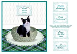 Black & White Kitty Cat in a Basket Card Topper + Greeting