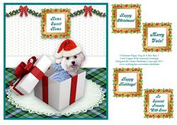 Christmas Boy Puppy Dog in a Box with Assorted Greetings