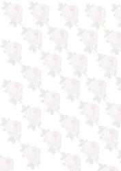Faded Pink Roses with Green Leaves Backing Paper