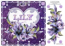 8 x 8 Lily Names a - Z - 'lily' Decoupage Card Topper