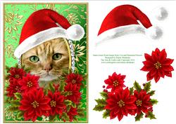Santa Ginger Kitten Cat & Decoupage Poinsettias Card Topper