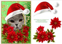 Santa British Blue Cat & Decoupage Poinsettias Card Topper