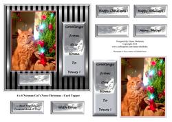6 x 6 Norman Cats Neon Christmas - Card Topper