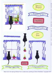 Black Cat in the Spring Window