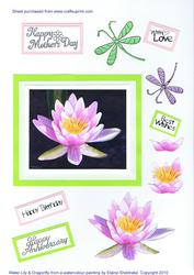 Water Lily & Dragonflies