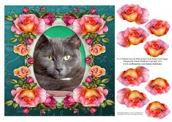 8 x 8 Orlando Grey Kitty Cat & Roses Card Topper & Decoupage