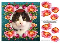 8 x 8 Mylo B&w Kitty Cat & Roses Card Topper & Decoupage