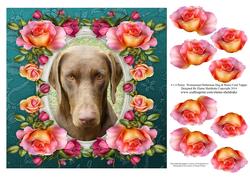 8 x 8 Weimaraner/doberman & Roses Card Topper & Decoupage