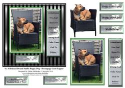 6 x 6 Relaxed Denzel Staffie Dog & Decoupagetopper