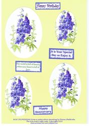 Blue Delphiniums for Birthday Anniversary Special Day