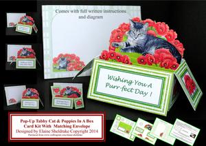 Tabby Cat & Poppies - 3D Pop-up Box Card Kit & Envelope
