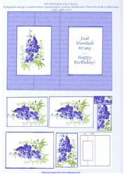 Delphinium Fold Back Birthday Card Male or Female