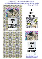 Tabby Cat's Eyes Purrfect Birthday Quick Card & Tag