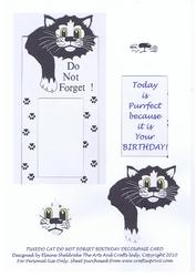 Tuxedo Black & White Cat Tall Birthday Male Decoupage Card