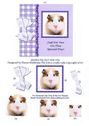 Guinea Pig Just for You Special Day Step by Step Square Card