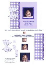 Lop Eared Bunny Rabbit Special Day Double Pyramid Card Cute
