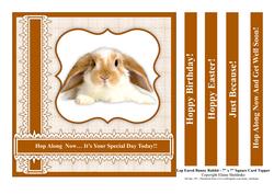 Lop Eared Bunny Rabbit 7" x 7" Card Topper with 5 Greetings