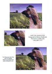 Cher the Afghan Dog Pyramid Card Birthdays Etc.