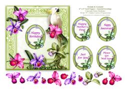 Orchids & Cockatiel - 6" x 6" Card Topper Decoupage & Greeti