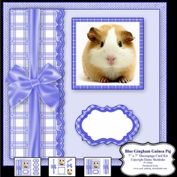 Blue Gingham Guinea Pig - 7 x 7 Card Topper With Decoupage