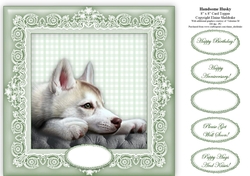 Handsome Husky - 8 x 8 Card Topper
