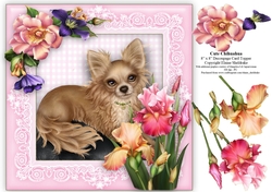 Cute Chihuahua Puppy Dog - 8 x 8 Floral Decoupage Card Topper