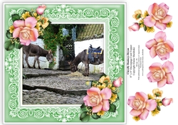 Clovelly Donkeys In Devon - 8 x 8 Card Topper With Roses Decoupage