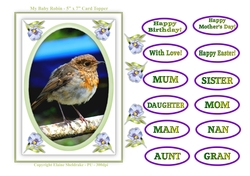 5 x 7 My Baby Robin Card Topper & Greetings For Female Occasions