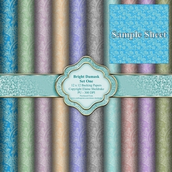 Bright Damask Papers Set One - Ten 12 x 12 - PU - 300 dpi