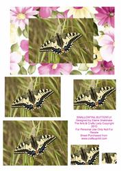 Swallowtail Butterfly for Birthdays Get Well Anniversary Etc