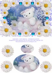 Baby Boy - New Arrival - Congratulations - Birth Announcemen