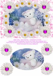 Baby Girl - New Arrival - Congratulations - Birth Announceme
