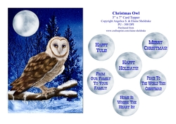 Christmas Barn Owl - 5 x 7 Card Topper With Assorted Greetings