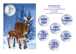 Christmas Deer - 5 x 7 Card Topper & Assorted Greetings - PU 300 DPI