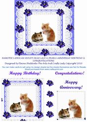 Hamster's African Violets Pearls & Lace Birthday S Etc.